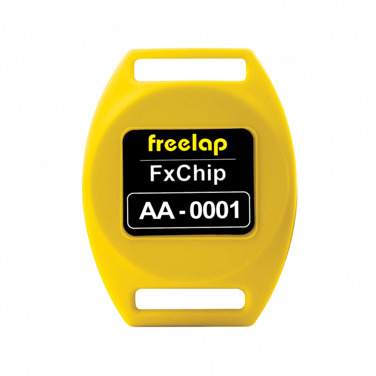 FxChip