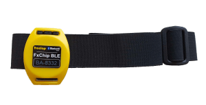 FxBelt